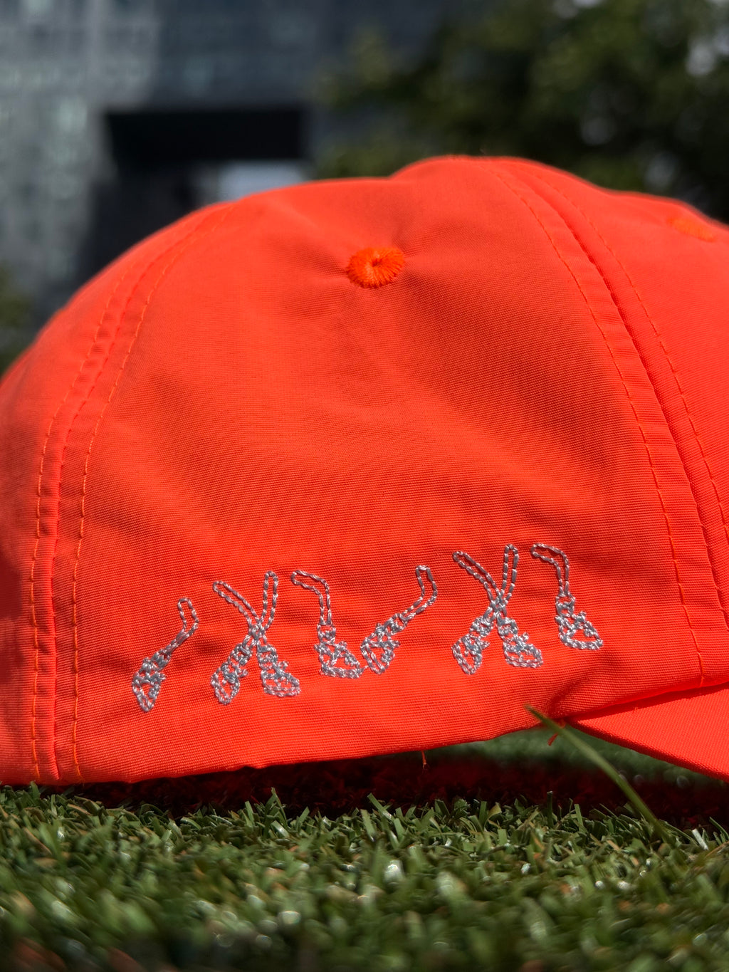 The Training Hat